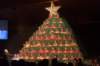 singingchrismastree201119_small.jpg